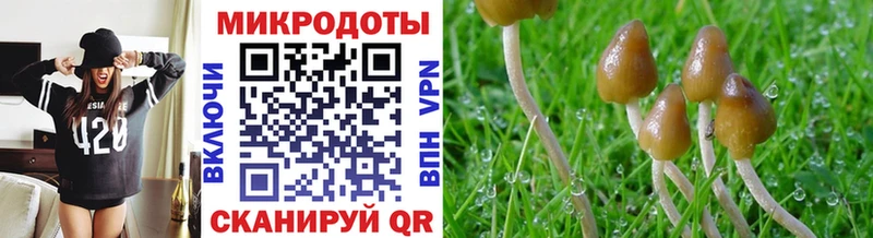 Псилоцибиновые грибы ЛСД  Алейск 