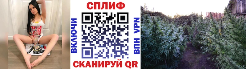 ОМГ ОМГ ССЫЛКА  Алейск  Канабис AK-47 